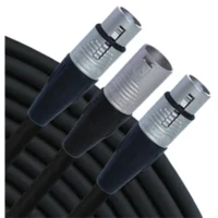 Rapco YMXM2XF-1 3-Pin XLR Male To 2 3-Pin XLR Female Y-Cable - 1 Foot